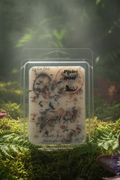 Pixie Dust Wax Melt - Tropical Forest Front